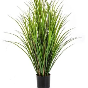 Straw - Grass, Green