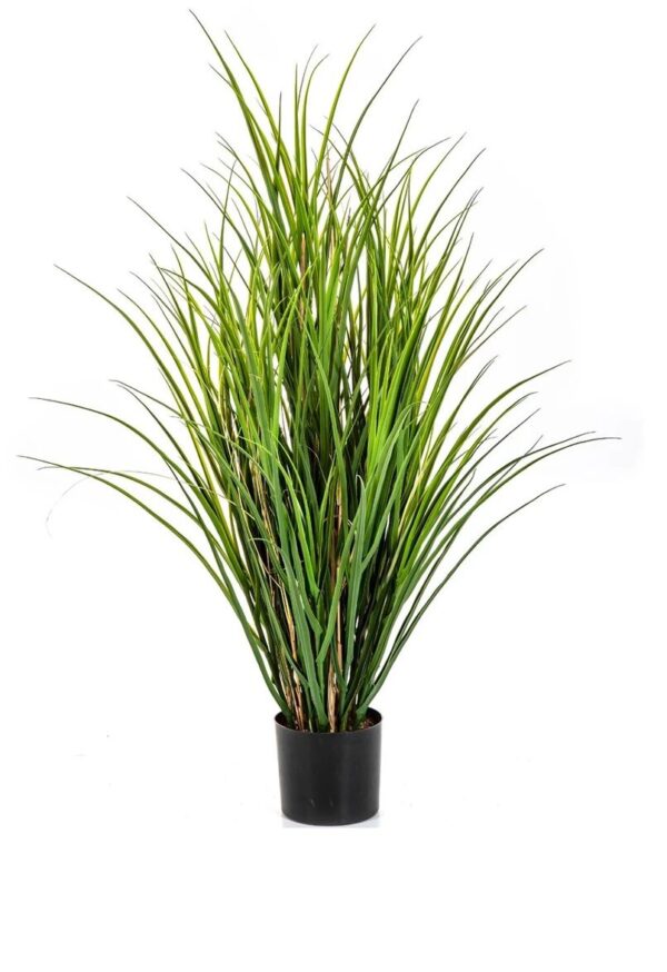 Straw - Grass, Green